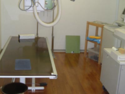 レントゲン検査